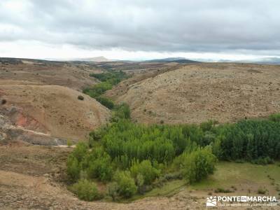 Yacimiento celtíbero de Tiermes y Hoz de Ligos;ruta senderismo rutas riaza